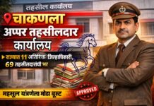 राज्याला मिळाले 11 अतिरिक्त जिल्हाधिकारी आणि 69 तहसीलदार; खेड तालुक्याचे नाव आहे का? एकदा वाचाच!